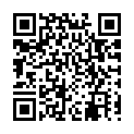 To view this 2013 Kia Soul Anoka MN from Christian Auto Sales | Bad Credit & No Credit Financing, please scan this QR code with your smartphone or tablet to view the mobile version of this page.