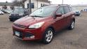 2014 RED /BLACK Ford Escape SE FWD (1FMCU0GX7EU) with an 1.6L L4 DOHC 16V engine, 6-Speed Automatic transmission, located at 434 West Main Street, Anoka, MN, 55303, (763) 576-9696, 45.201759, -93.396706 - 2014 FORD ESCAPE SE 2WD. Air Conditioning; Power Windows; Power Locks; Power Steering; Tilt Wheel; AM/FM CD/MP3; Satellite; AM/FM CD/DVD; Sentry Key; Keyless Entry; Alarm; Available; Dual Front Airbags; Side Airbags; Head Airbags; Rear Head Airbags; Active Seatbelts; All Wheel ABS - Photo#0