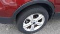 2014 RED /BLACK Ford Escape SE FWD (1FMCU0GX7EU) with an 1.6L L4 DOHC 16V engine, 6-Speed Automatic transmission, located at 434 West Main Street, Anoka, MN, 55303, (763) 576-9696, 45.201759, -93.396706 - 2014 FORD ESCAPE SE 2WD. Air Conditioning; Power Windows; Power Locks; Power Steering; Tilt Wheel; AM/FM CD/MP3; Satellite; AM/FM CD/DVD; Sentry Key; Keyless Entry; Alarm; Available; Dual Front Airbags; Side Airbags; Head Airbags; Rear Head Airbags; Active Seatbelts; All Wheel ABS - Photo#15