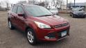 2014 RED /BLACK Ford Escape SE FWD (1FMCU0GX7EU) with an 1.6L L4 DOHC 16V engine, 6-Speed Automatic transmission, located at 434 West Main Street, Anoka, MN, 55303, (763) 576-9696, 45.201759, -93.396706 - 2014 FORD ESCAPE SE 2WD. Air Conditioning; Power Windows; Power Locks; Power Steering; Tilt Wheel; AM/FM CD/MP3; Satellite; AM/FM CD/DVD; Sentry Key; Keyless Entry; Alarm; Available; Dual Front Airbags; Side Airbags; Head Airbags; Rear Head Airbags; Active Seatbelts; All Wheel ABS - Photo#2