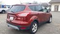 2014 RED /BLACK Ford Escape SE FWD (1FMCU0GX7EU) with an 1.6L L4 DOHC 16V engine, 6-Speed Automatic transmission, located at 434 West Main Street, Anoka, MN, 55303, (763) 576-9696, 45.201759, -93.396706 - 2014 FORD ESCAPE SE 2WD. Air Conditioning; Power Windows; Power Locks; Power Steering; Tilt Wheel; AM/FM CD/MP3; Satellite; AM/FM CD/DVD; Sentry Key; Keyless Entry; Alarm; Available; Dual Front Airbags; Side Airbags; Head Airbags; Rear Head Airbags; Active Seatbelts; All Wheel ABS - Photo#4