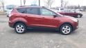 2014 RED /BLACK Ford Escape SE FWD (1FMCU0GX7EU) with an 1.6L L4 DOHC 16V engine, 6-Speed Automatic transmission, located at 434 West Main Street, Anoka, MN, 55303, (763) 576-9696, 45.201759, -93.396706 - 2014 FORD ESCAPE SE 2WD. Air Conditioning; Power Windows; Power Locks; Power Steering; Tilt Wheel; AM/FM CD/MP3; Satellite; AM/FM CD/DVD; Sentry Key; Keyless Entry; Alarm; Available; Dual Front Airbags; Side Airbags; Head Airbags; Rear Head Airbags; Active Seatbelts; All Wheel ABS - Photo#5