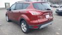 2014 RED /BLACK Ford Escape SE FWD (1FMCU0GX7EU) with an 1.6L L4 DOHC 16V engine, 6-Speed Automatic transmission, located at 434 West Main Street, Anoka, MN, 55303, (763) 576-9696, 45.201759, -93.396706 - 2014 FORD ESCAPE SE 2WD. Air Conditioning; Power Windows; Power Locks; Power Steering; Tilt Wheel; AM/FM CD/MP3; Satellite; AM/FM CD/DVD; Sentry Key; Keyless Entry; Alarm; Available; Dual Front Airbags; Side Airbags; Head Airbags; Rear Head Airbags; Active Seatbelts; All Wheel ABS - Photo#6